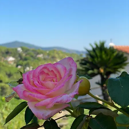 Casa Serena *